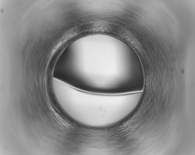 X0000088420722200705220836
