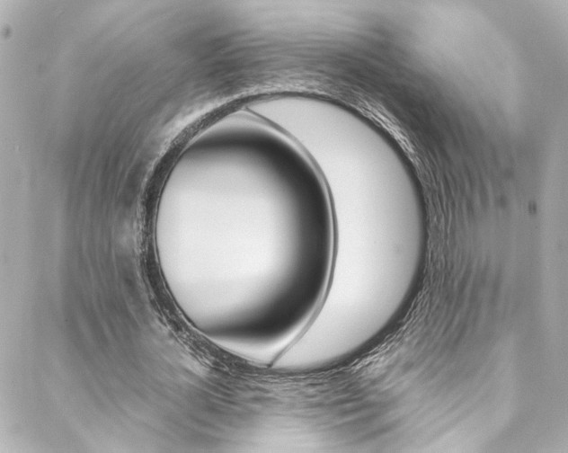 X0000088420724200705220836