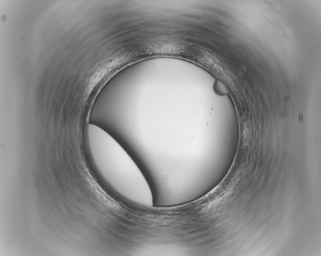 X0000088420725200705220836