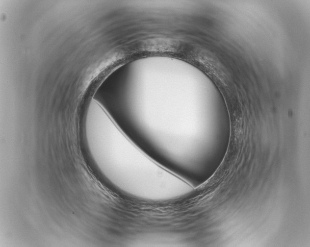 X0000088420727200705220836