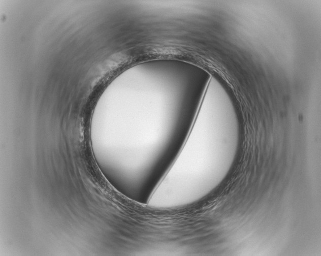 X0000088420731200705220836