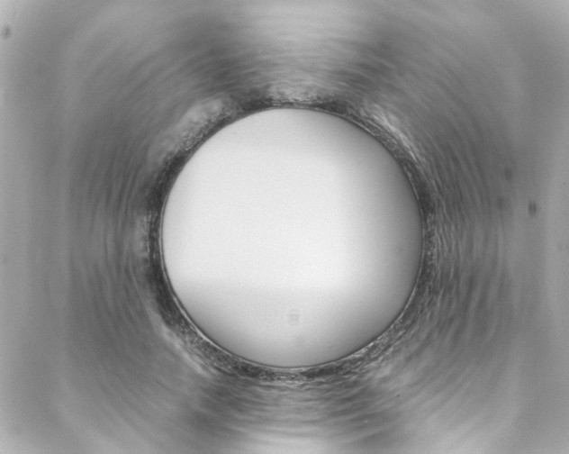 X0000088420738200705220836