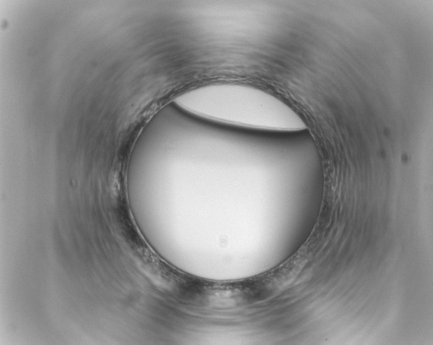 X0000088420746200705220837