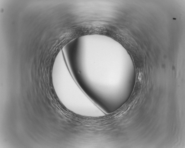 X0000088420771200705220836