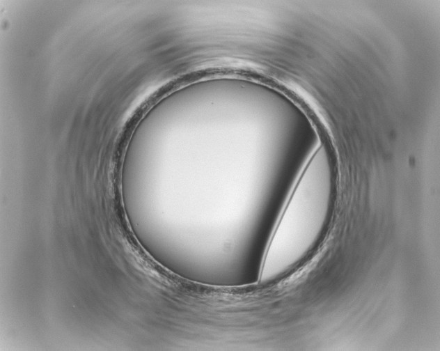 X0000088420783200705220836