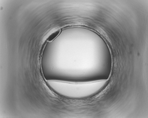 X0000088420789200705220836