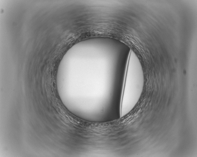 X0000088420817200705220835
