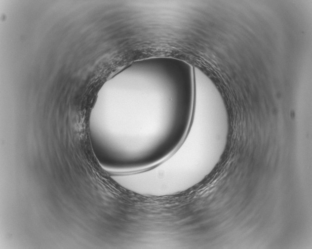X0000088420818200705220835