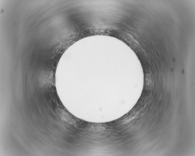 X0000088420820200705220835
