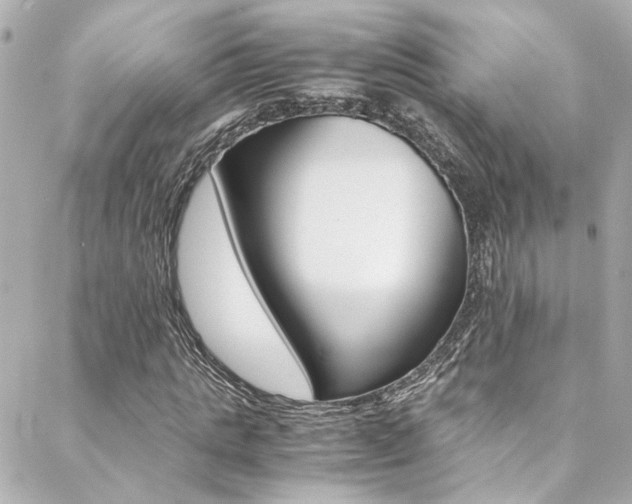 X0000088420821200705220835