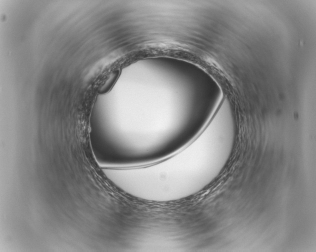 X0000088420822200705220835
