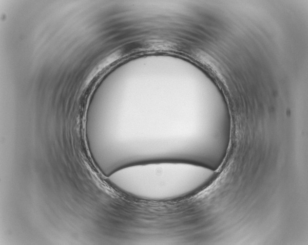 X0000088420827200705220835