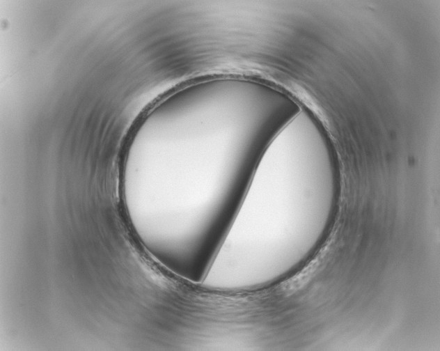 X0000088420838200705220835