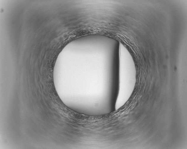 X0000088420865200705220835