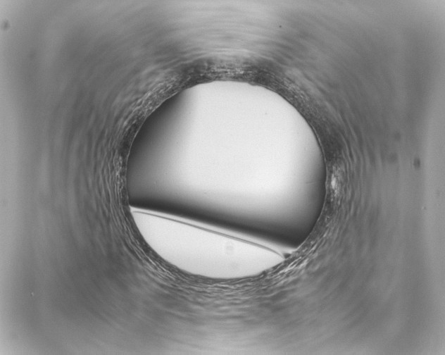 X0000088420867200705220835