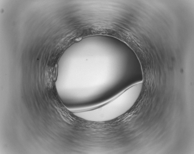 X0000088420868200705220834