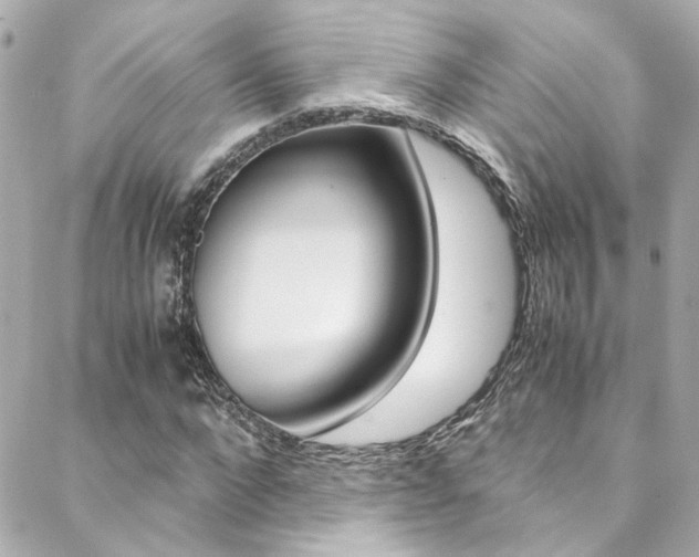 X0000088420872200705220834