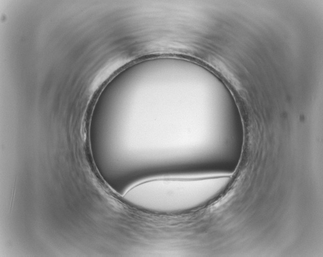X0000088420885200705220834