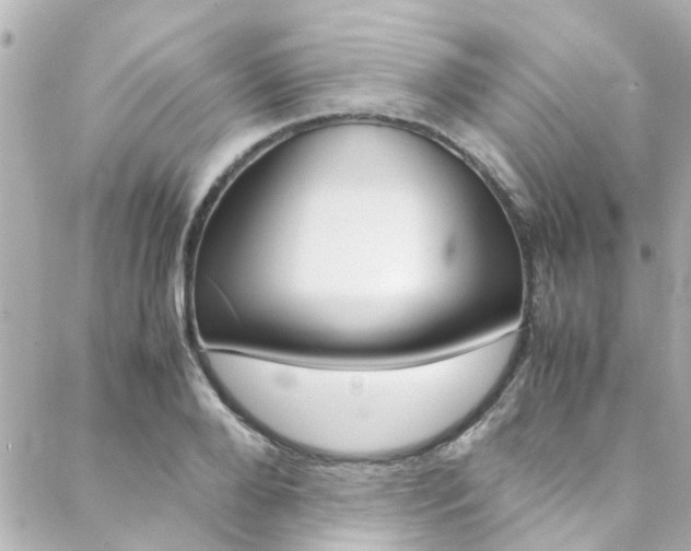 X0000088420888200705220834