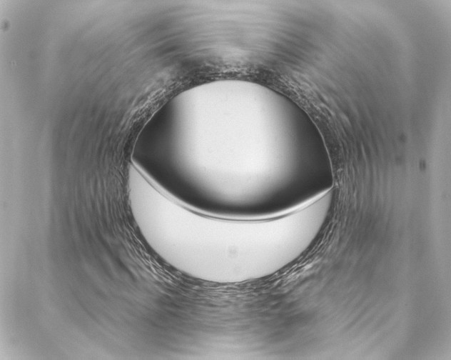 X0000088420916200705220833