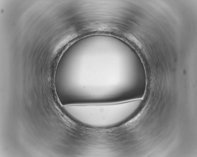 X0000088420922200705220833