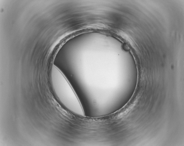 X0000088420923200705220833