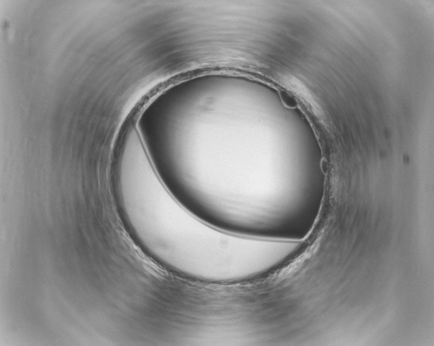 X0000088420924200705220833