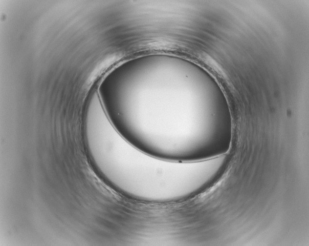 X0000088420930200705220833
