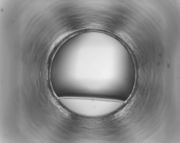 X0000088420931200705220833