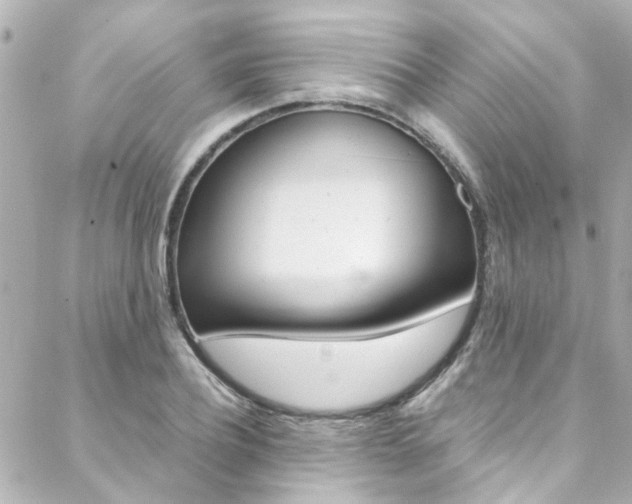 X0000088420932200705220833