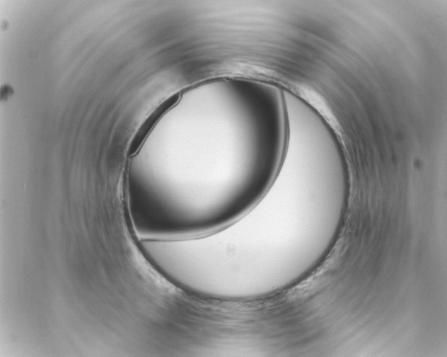 X0000088420946200705220834