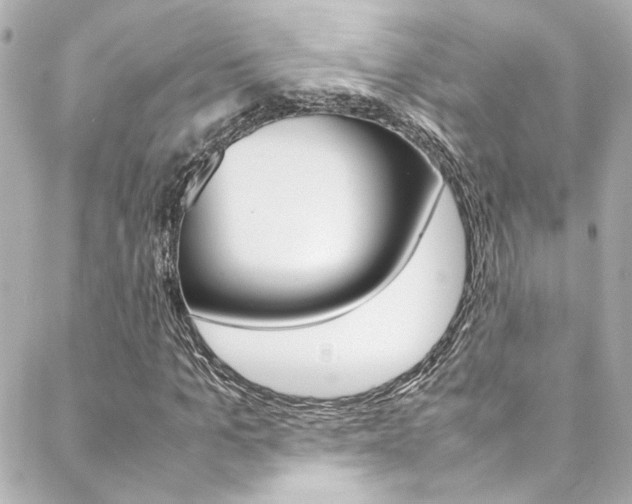 X0000088420965200705220833