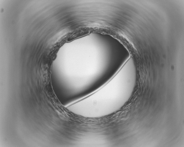 X0000088420968200705220833