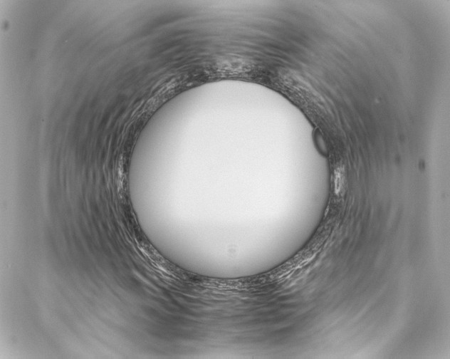 X0000088421011200705220831
