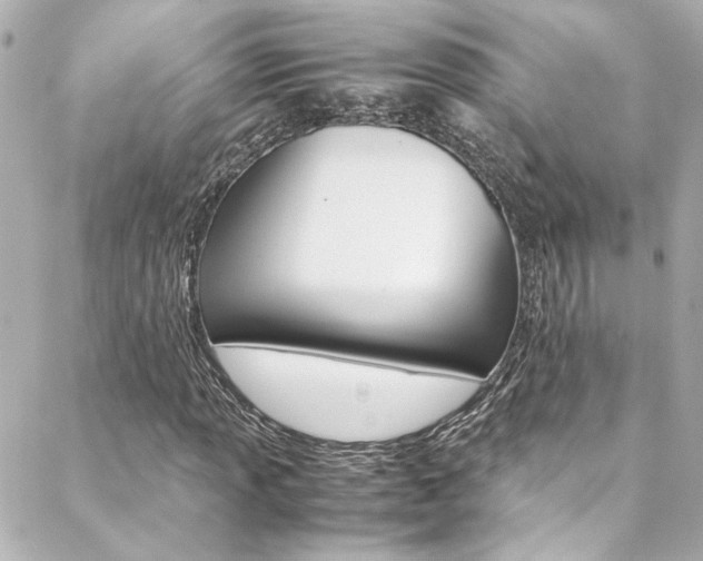 X0000088421013200705220831