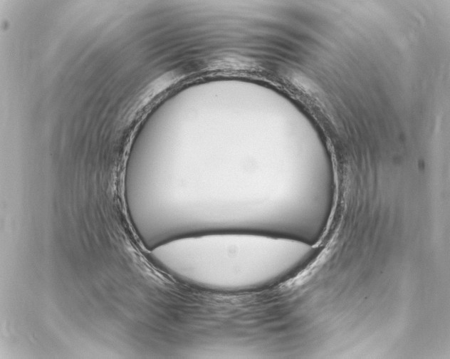 X0000088421017200705220832
