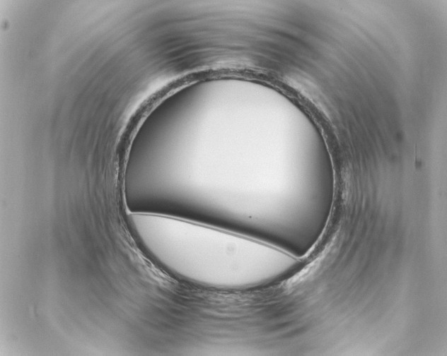 X0000088421021200705220832