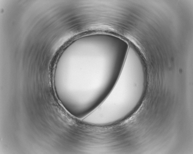 X0000088421022200705220832