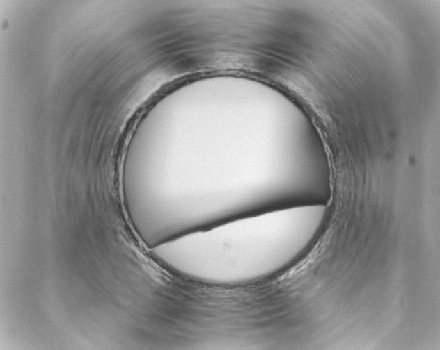 X0000088421023200705220832