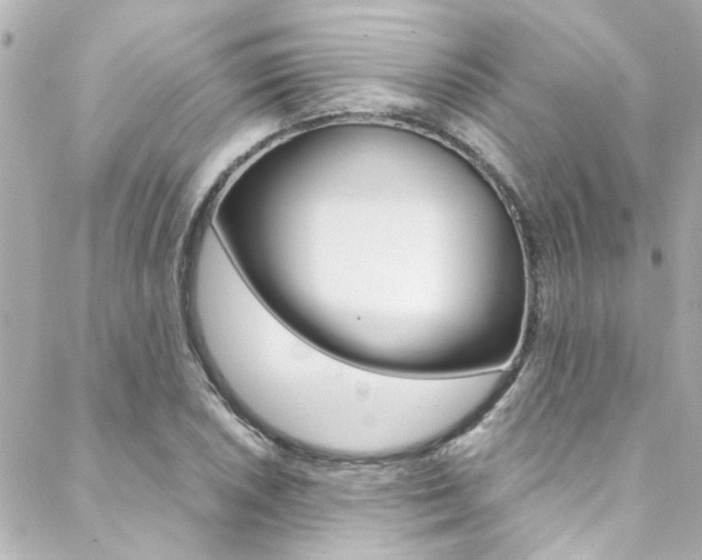 X0000088421026200705220832