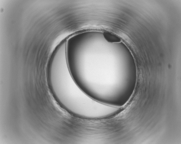 X0000088421030200705220832