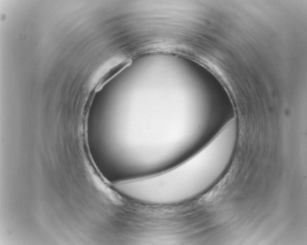 X0000088421042200705220832