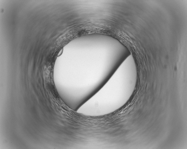 X0000088421059200705220831