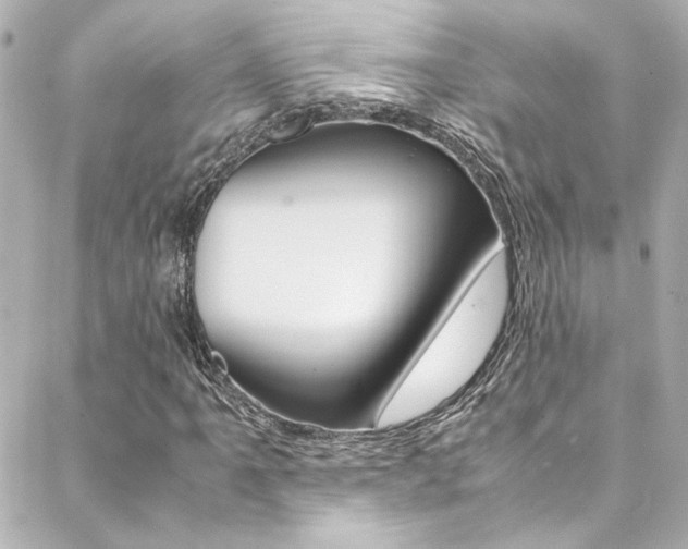 X0000088421061200705220831