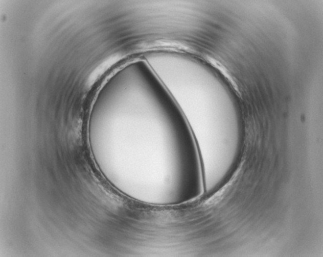 X0000088421066200705220831
