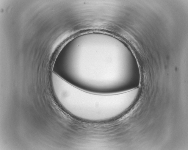 X0000088421069200705220831