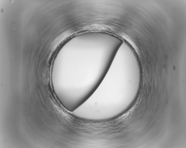 X0000088421075200705220831