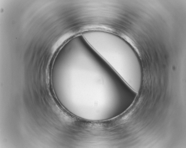 X0000088421082200705220831