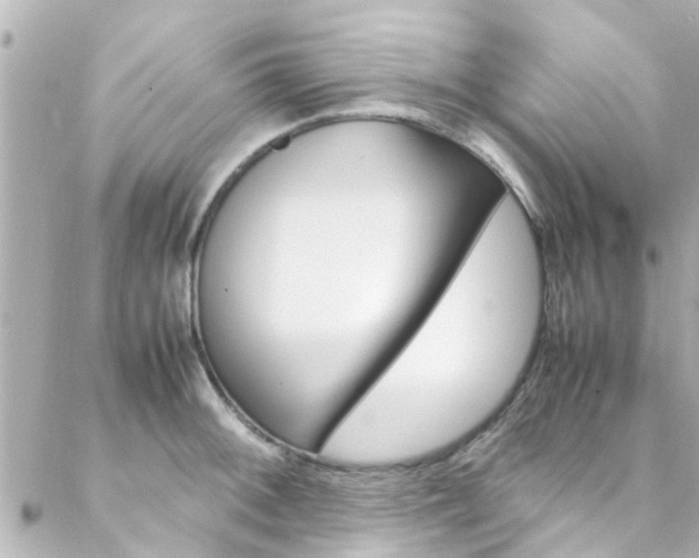 X0000088421092200705220831
