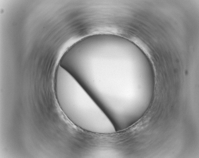 X0000088421104200705220831